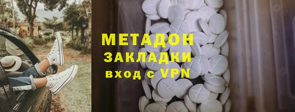индика Белокуриха