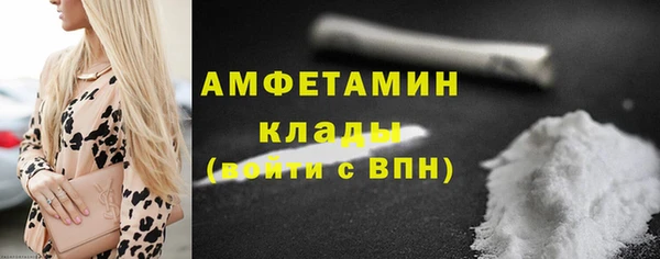 индика Белокуриха