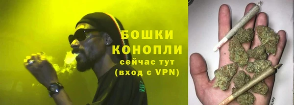 молекула духа Беломорск