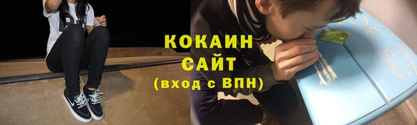 индика Белокуриха