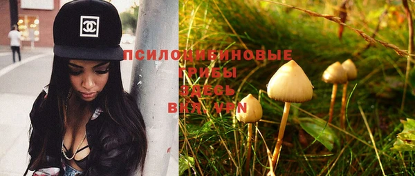 индика Белокуриха