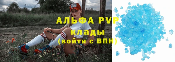 индика Белокуриха