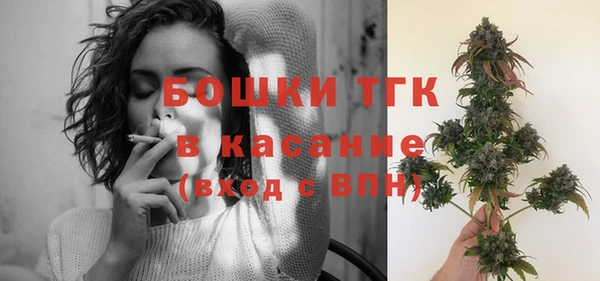 индика Белокуриха